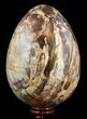 Giant Polished Petrified Wood Egg - Lbs #51660-2